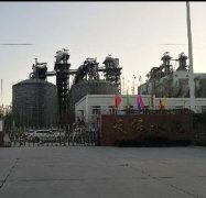 天伟水泥有限公司